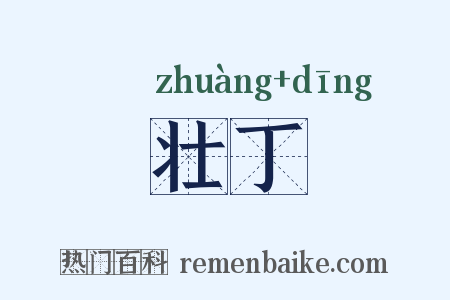 壮丁是什么意思的图片